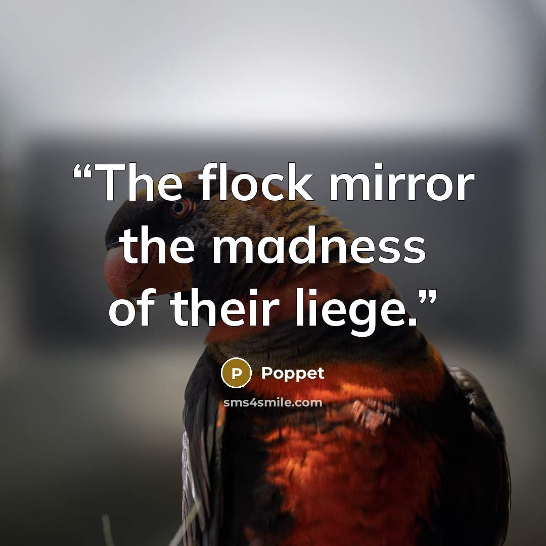 “The flock mirror the madness of their liege.” quote by Poppet