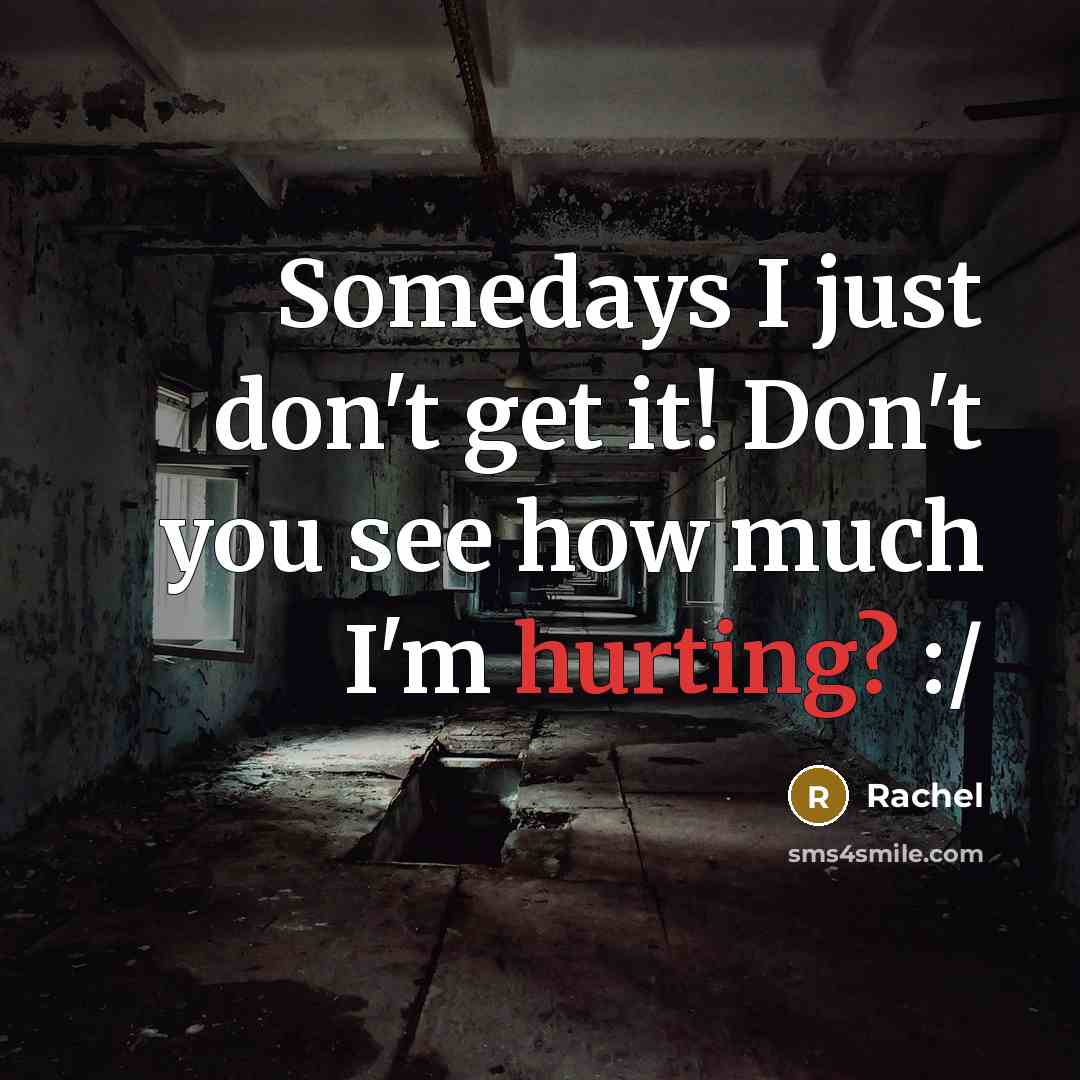“Somedays I just don't get it! Don't you see how…” quote by Rachel