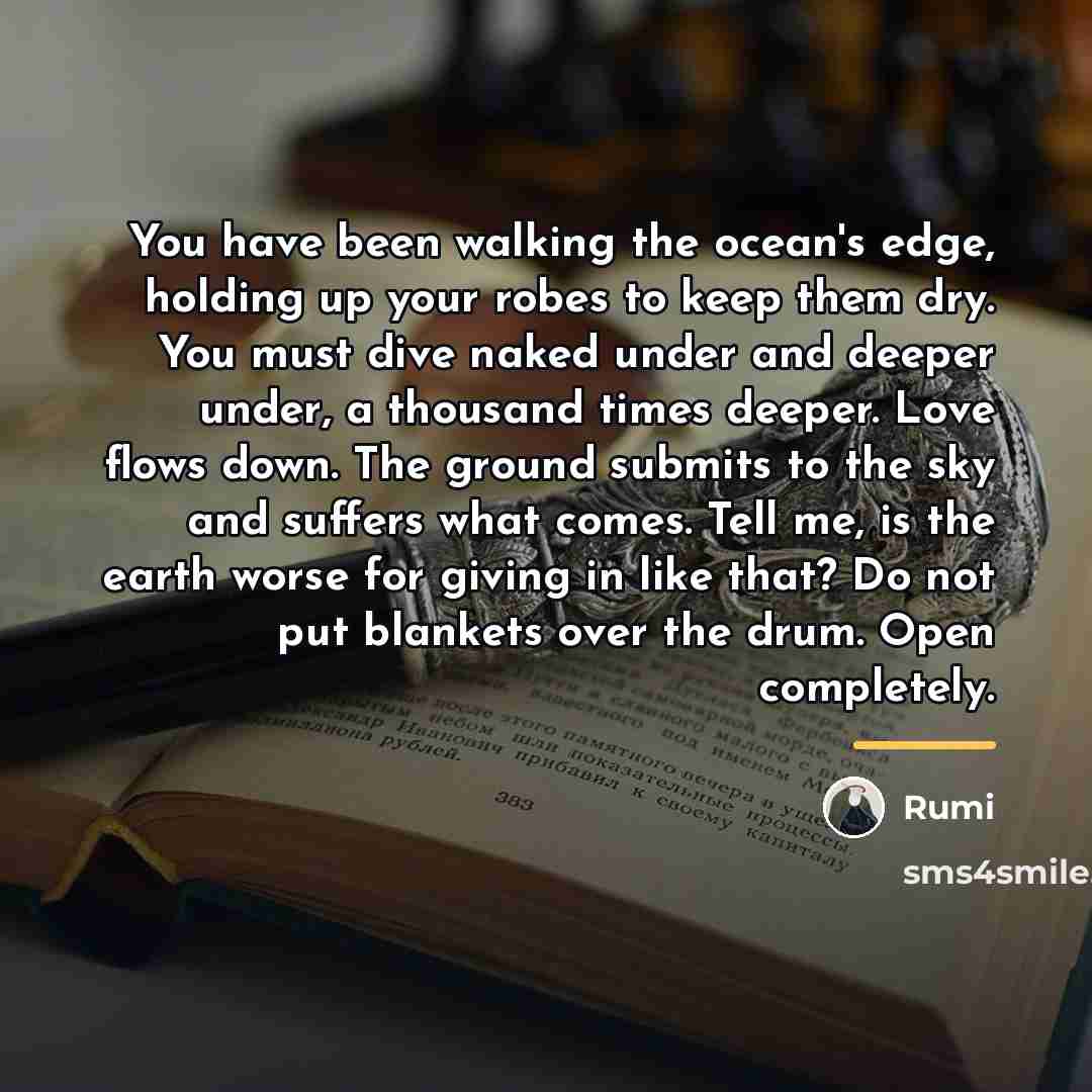 “You have been walking the ocean's edge, holding up your…” quote by Rumi