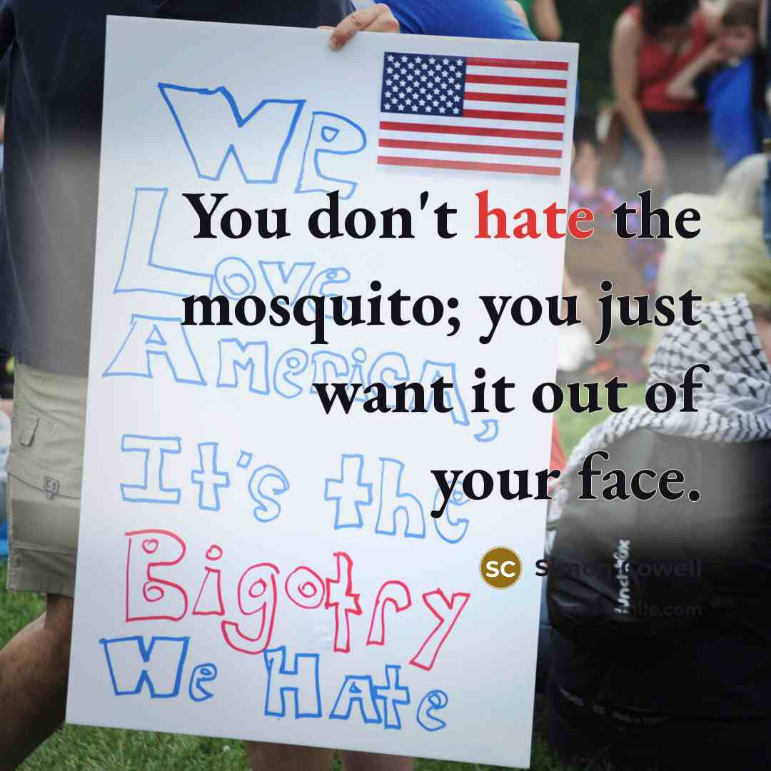 “You don't hate the mosquito; you just want it out…” quote by Simon Cowell