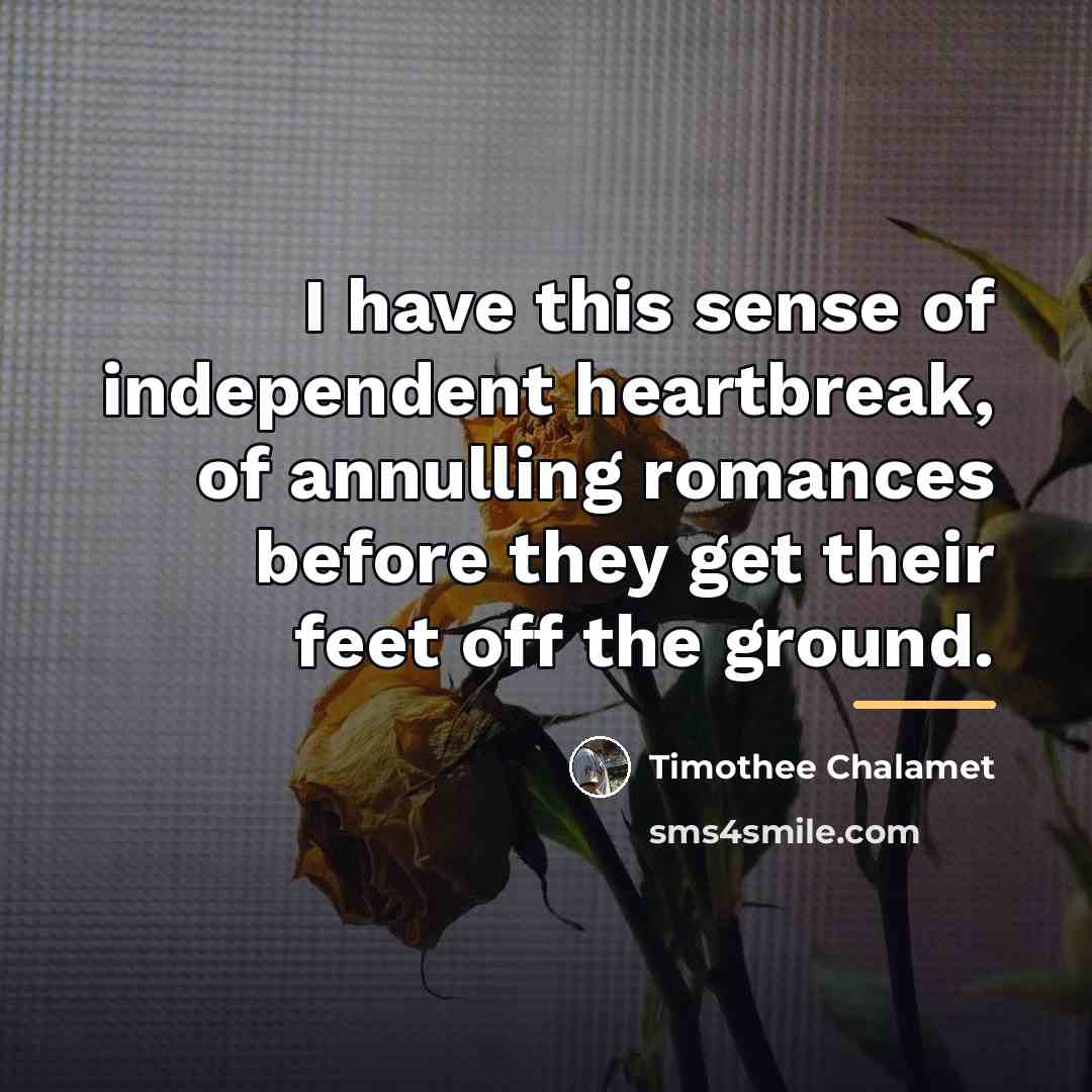 “I have this sense of independent heartbreak, of annulling romances…” quote by Timothee Chalamet