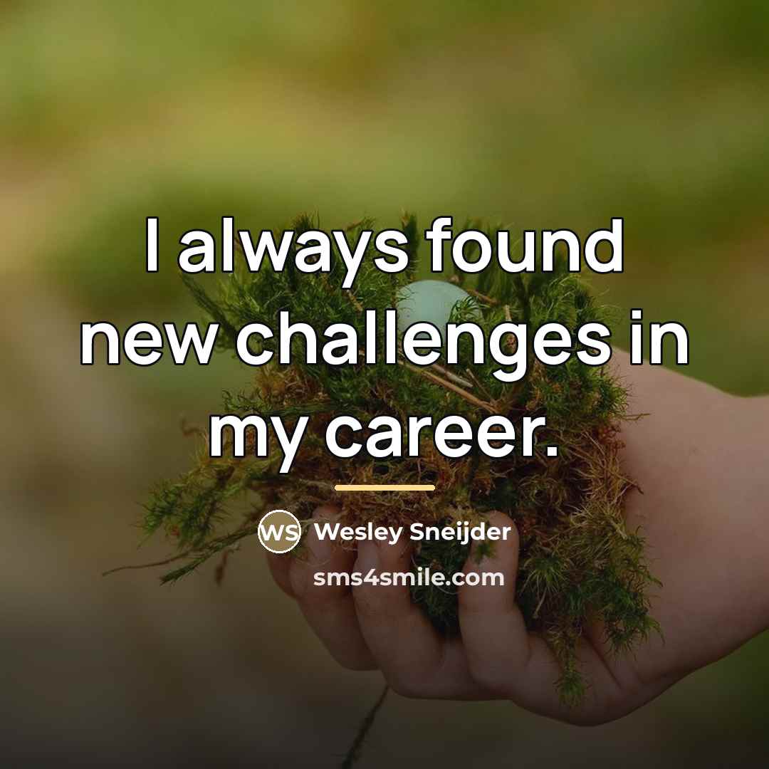 “I always found new challenges in my career.…” quote by Wesley Sneijder