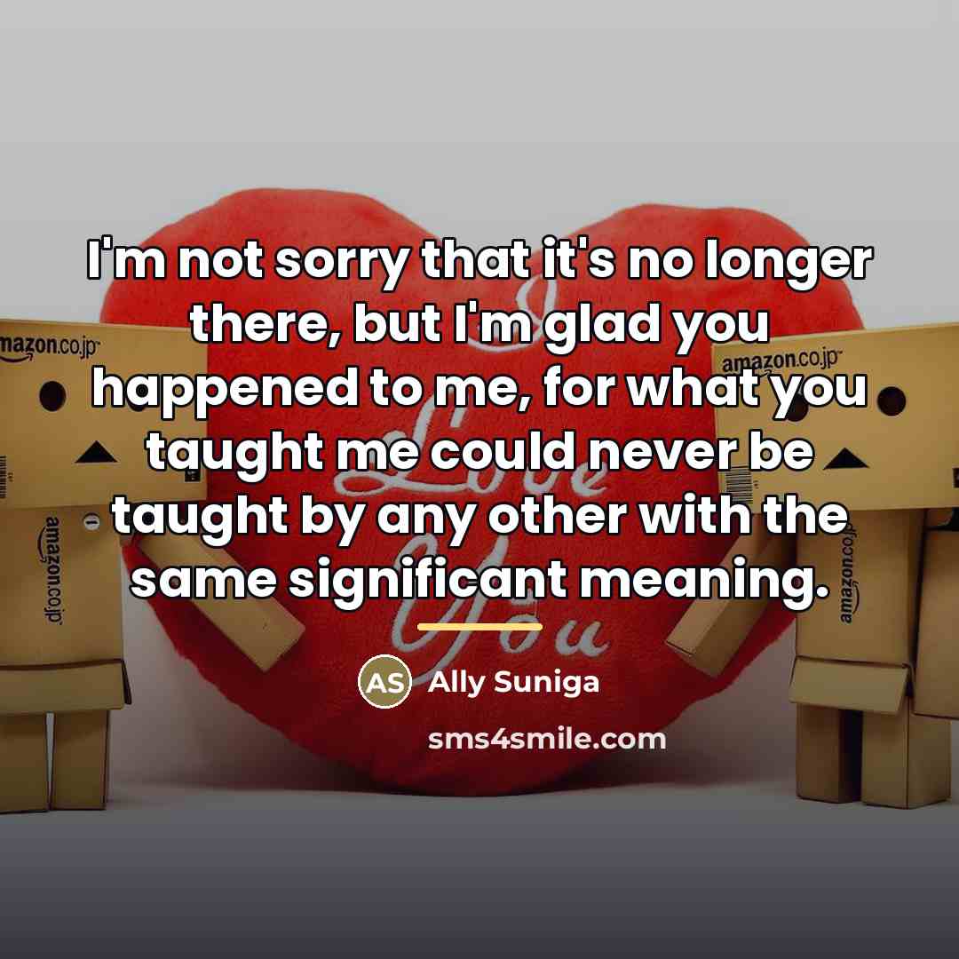 “I'm not sorry that it's no longer there, but I'm…” quote by Ally Suniga