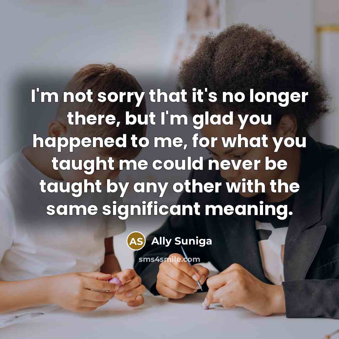 “I'm not sorry that it's no longer there, but I'm glad you happened to me, for what you taught me could never be taught by any other with the same significant meaning.” quote by Ally Suniga