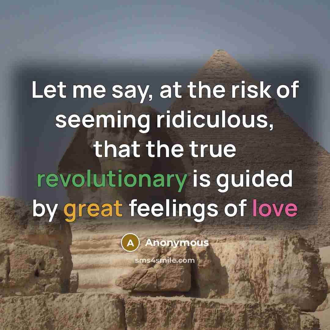 “Let me say, at the risk of seeming ridiculous, that the true revolutionary is guided by great feelings of love” quote by Anonymous