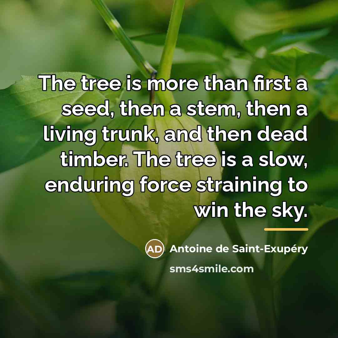 “The tree is more than first a seed, then a…” quote by Antoine de Saint-Exupery