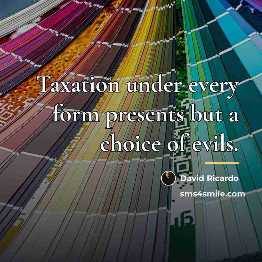 “Taxation under every form presents but a choice of evils.…” quote by David Ricardo