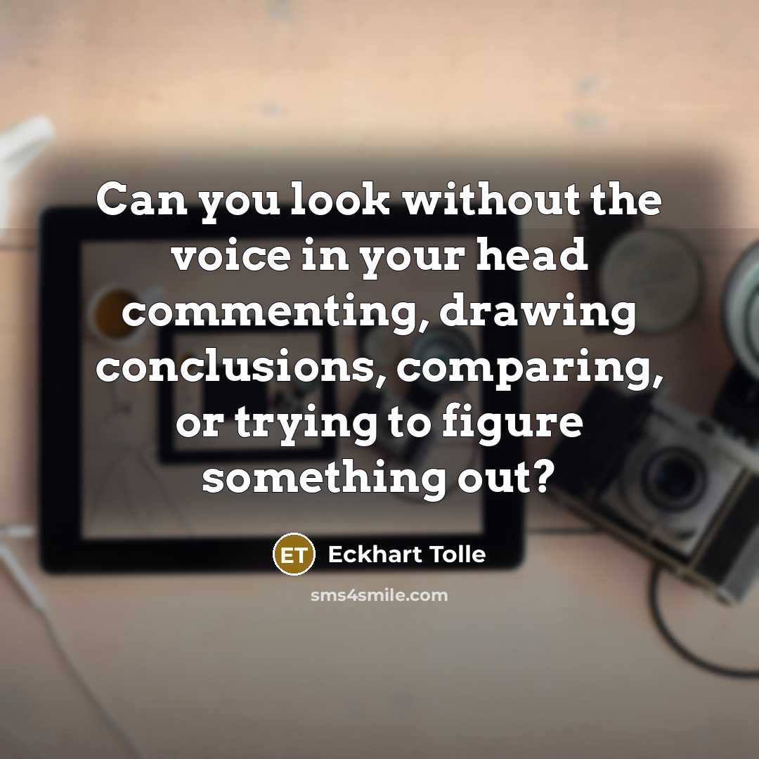 “Can you look without the voice in your head commenting,…” quote by Eckhart Tolle