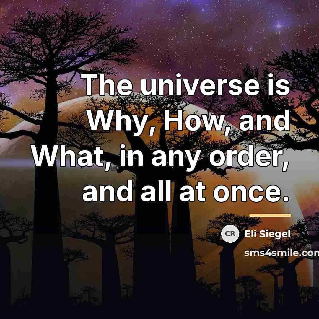 “The universe is Why, How, and What, in any order,…” quote by Eli Siegel