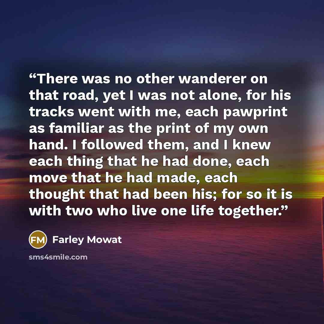 “There was no other wanderer on that road, yet I was not alone, for his tracks went with me, each pawprint as familiar as the print of my own hand. I followed them, and I knew each thing that he had done, each move that he had made, each thought that had been his; for so it is with two who live one…” quote by Farley Mowat