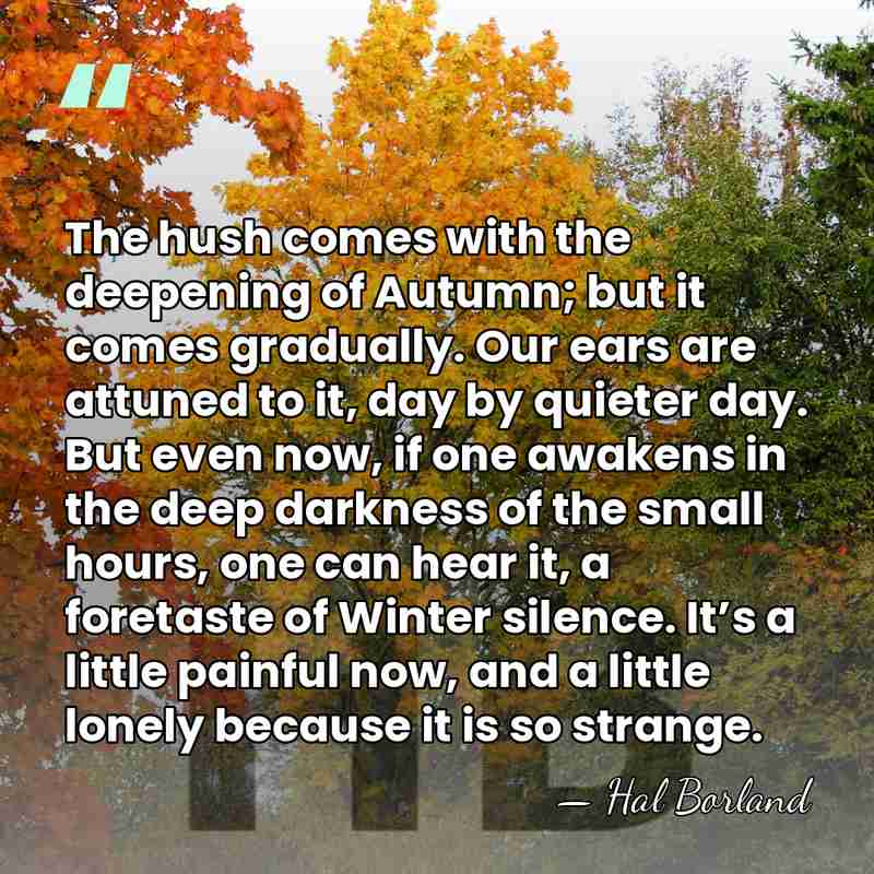 The hush comes with the deepening of Autumn; but it comes gradually.&hellip; - Hal Borland