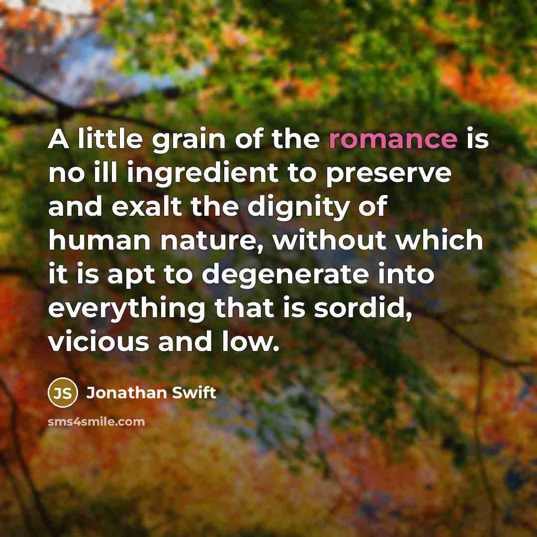 “A little grain of the romance is no ill ingredient…” quote by Jonathan Swift