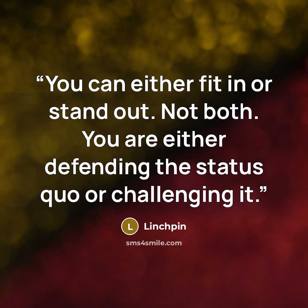 “You can either fit in or stand out. Not both. You are either defending the status quo or challenging it.” quote by Linchpin