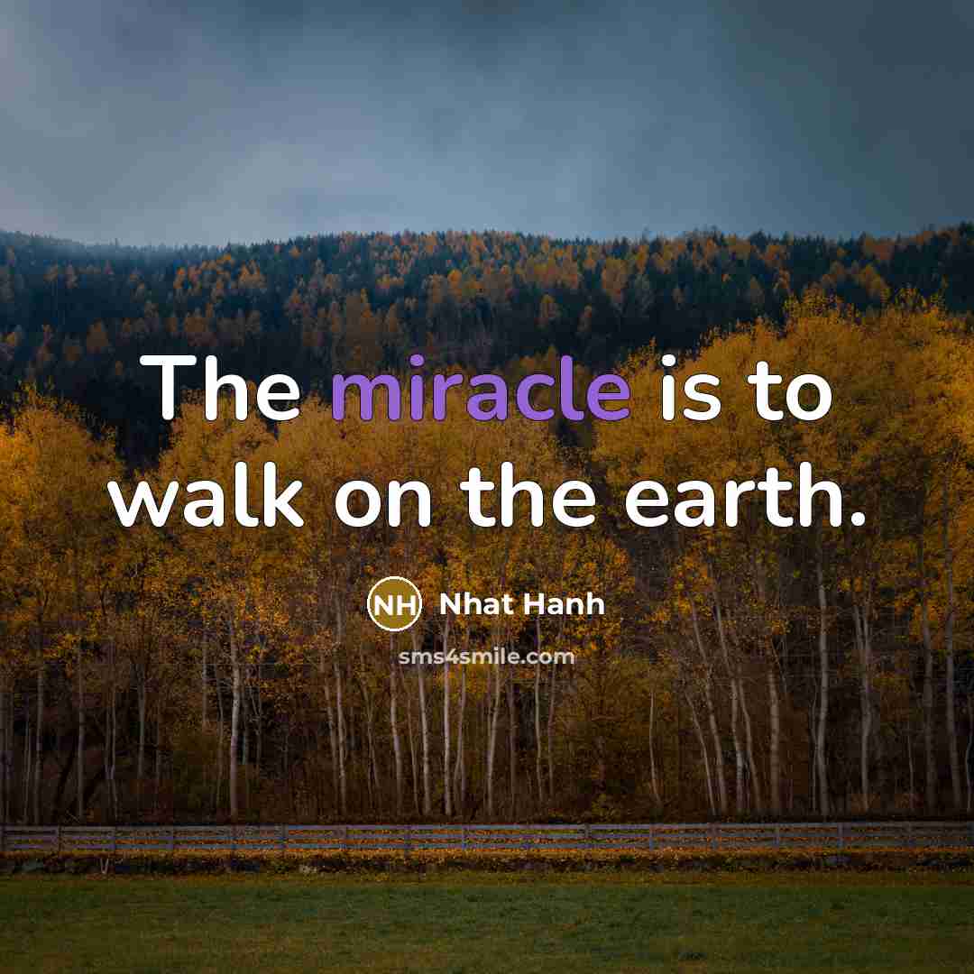 “The miracle is to walk on the earth.…” quote by Nhat Hanh