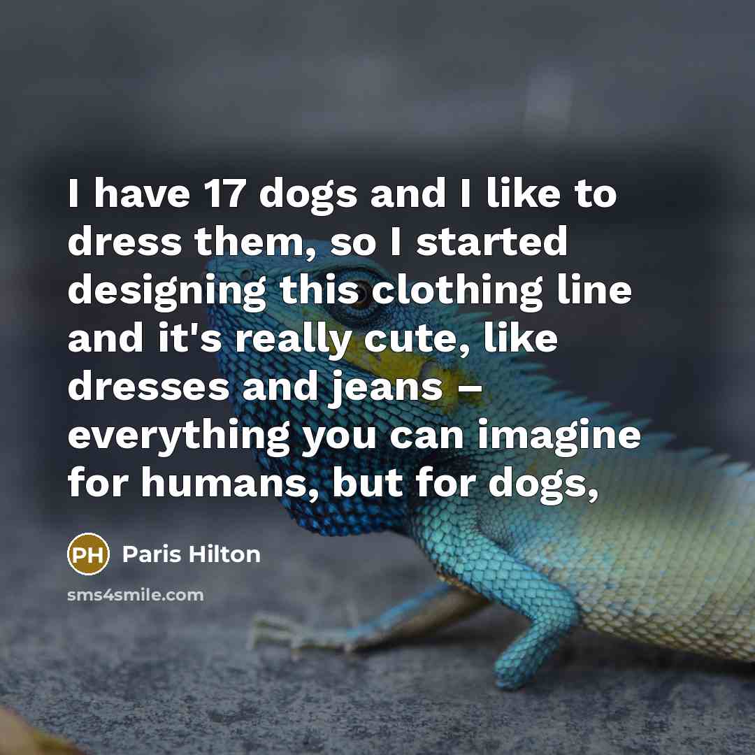 “I have 17 dogs and I like to dress them, so I started designing this clothing line and it's really cute, like dresses and jeans – everything you can imagine for humans, but for dogs,” quote by Paris Hilton