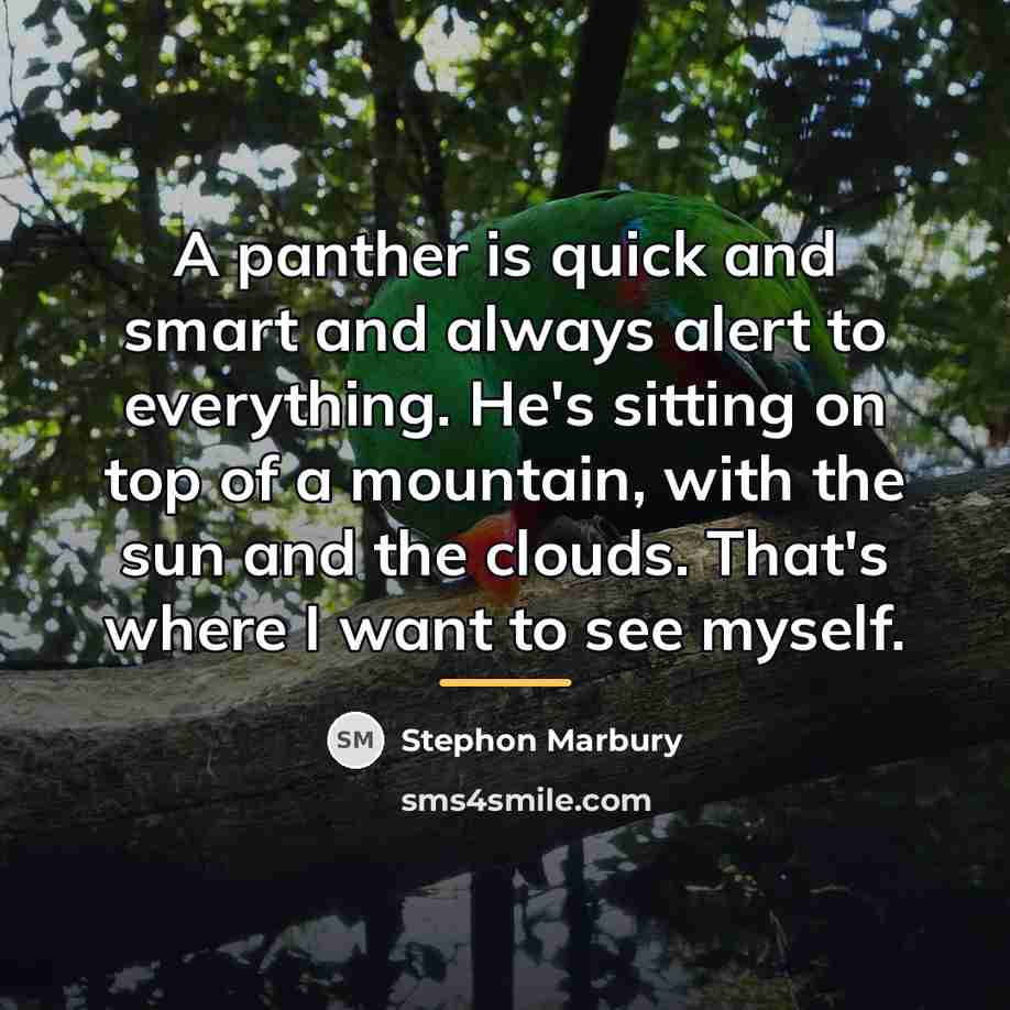 “A panther is quick and smart and always alert to…” quote by Stephon Marbury