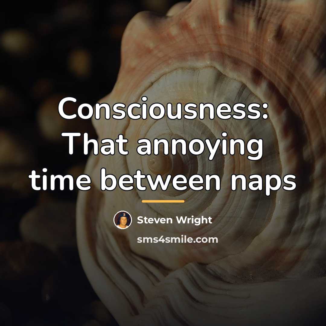 “Consciousness: That annoying time between naps…” quote by Steven Wright