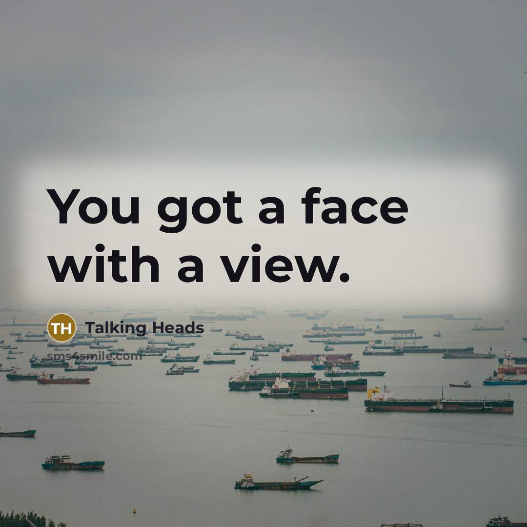 “You got a face with a view.” quote by Talking Heads