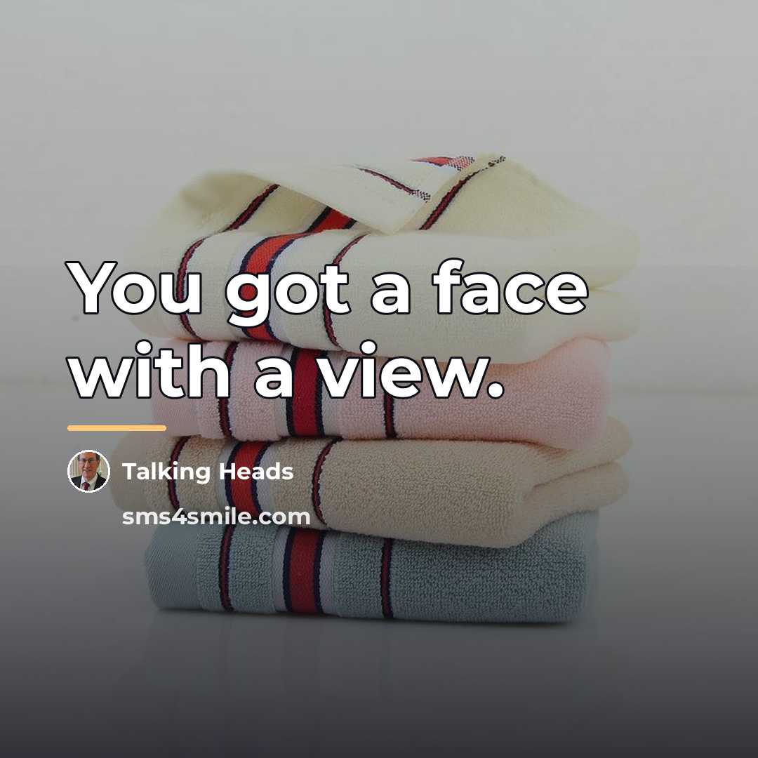 “You got a face with a view.…” quote by Talking Heads