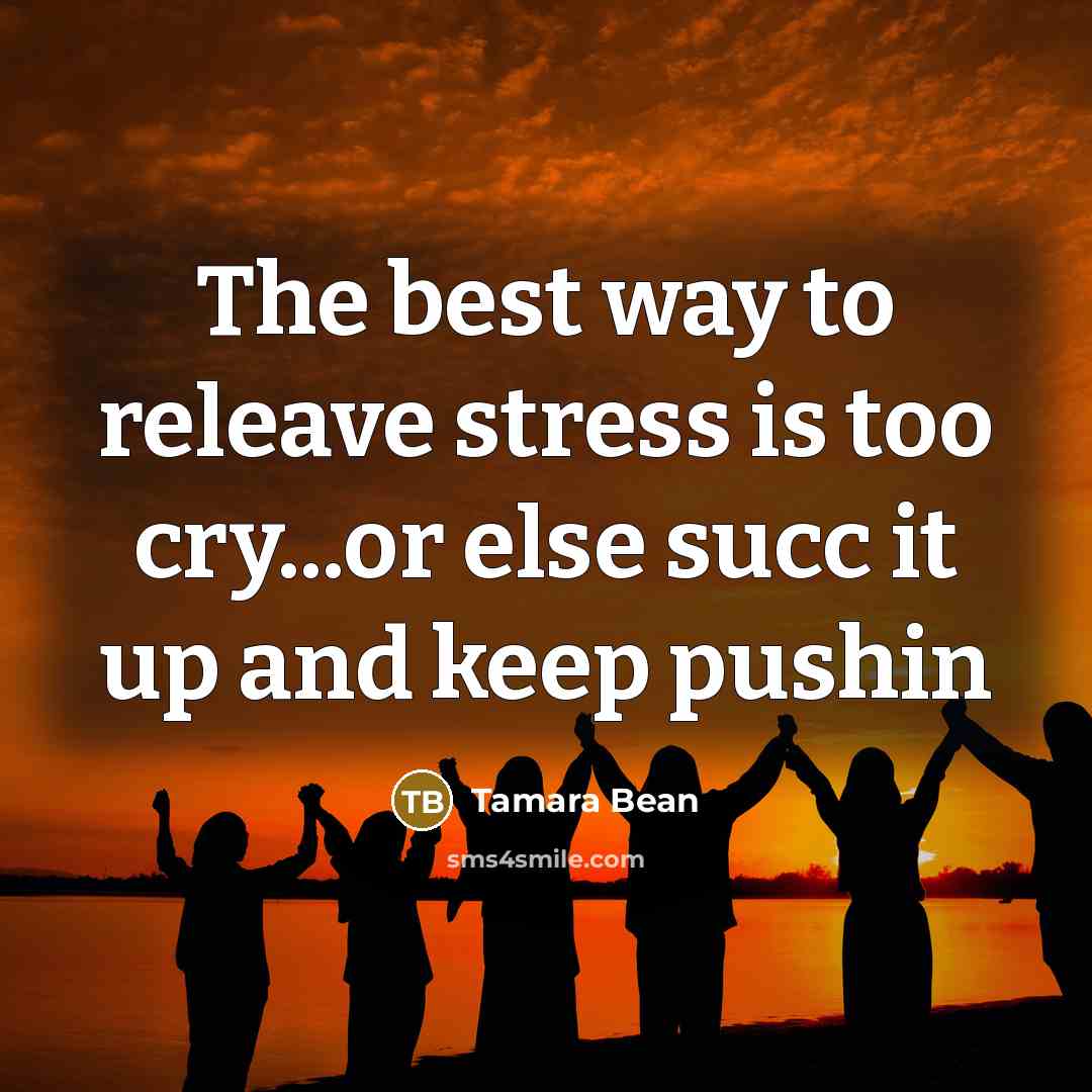 “The best way to releave stress is too cry...or else succ it up and keep pushin” quote by Tamara Bean