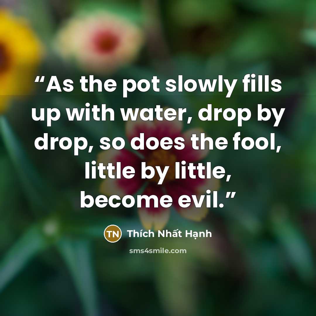 “As the pot slowly fills up with water, drop by drop, so does the fool, little by little, become evil.” quote by Thích Nhất Hạnh