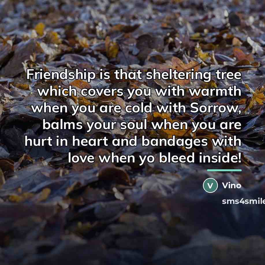“Friendship is that sheltering tree which covers you with warmth…” quote by Vino