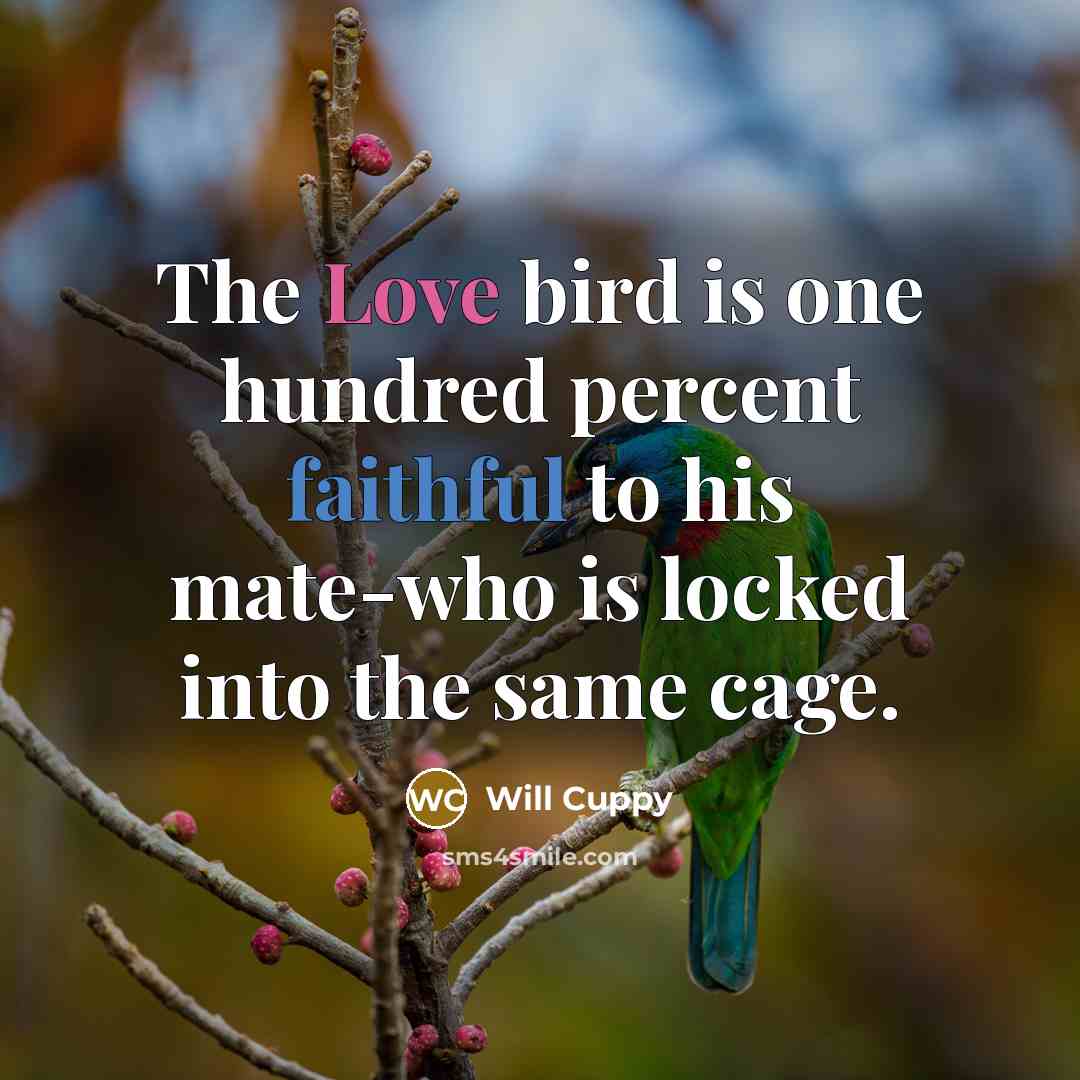 “The Love bird is one hundred percent faithful to his…” quote by Will Cuppy