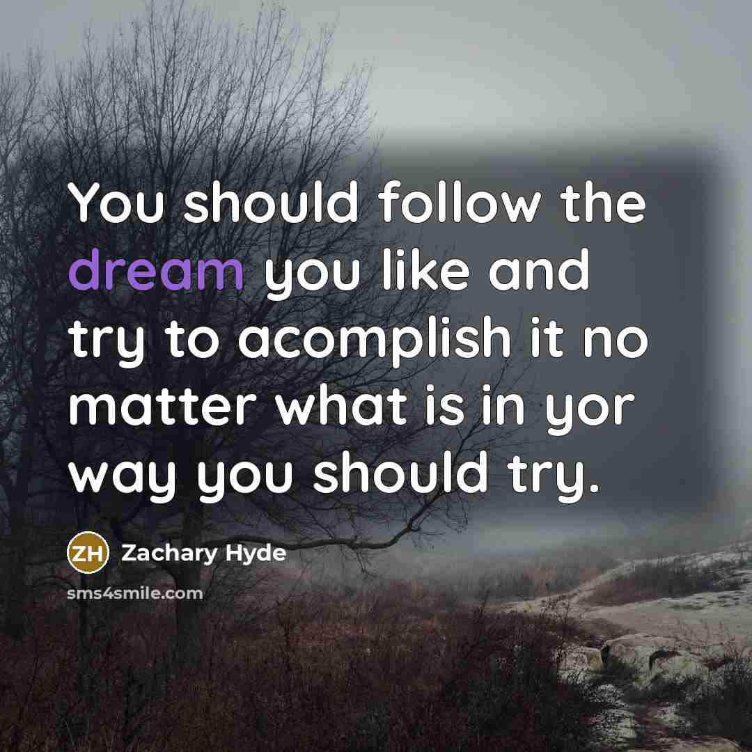 “You should follow the dream you like and try to…” quote by Zachary Hyde