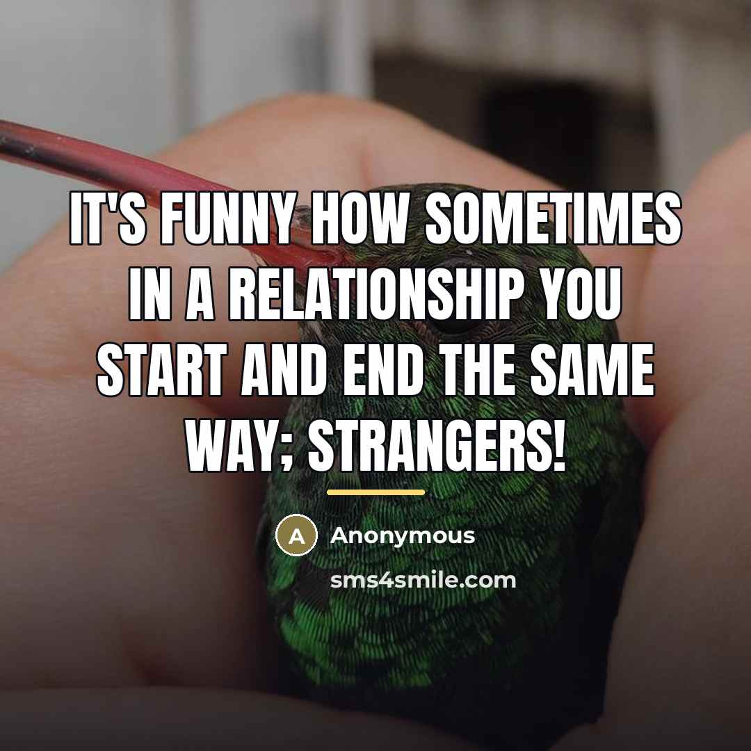 “It's funny how sometimes in a relationship you start and…” quote by Anonymous