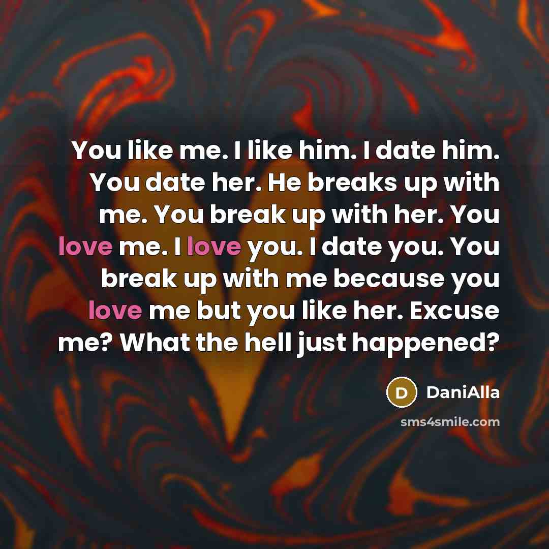 “You like me. I like him. I date him. You date her. He breaks up with me. You break up with her. You love me. I love you. I date you. You break up with me because you love me but you like her. Excuse me? What the hell just happened?” quote by DaniAlla