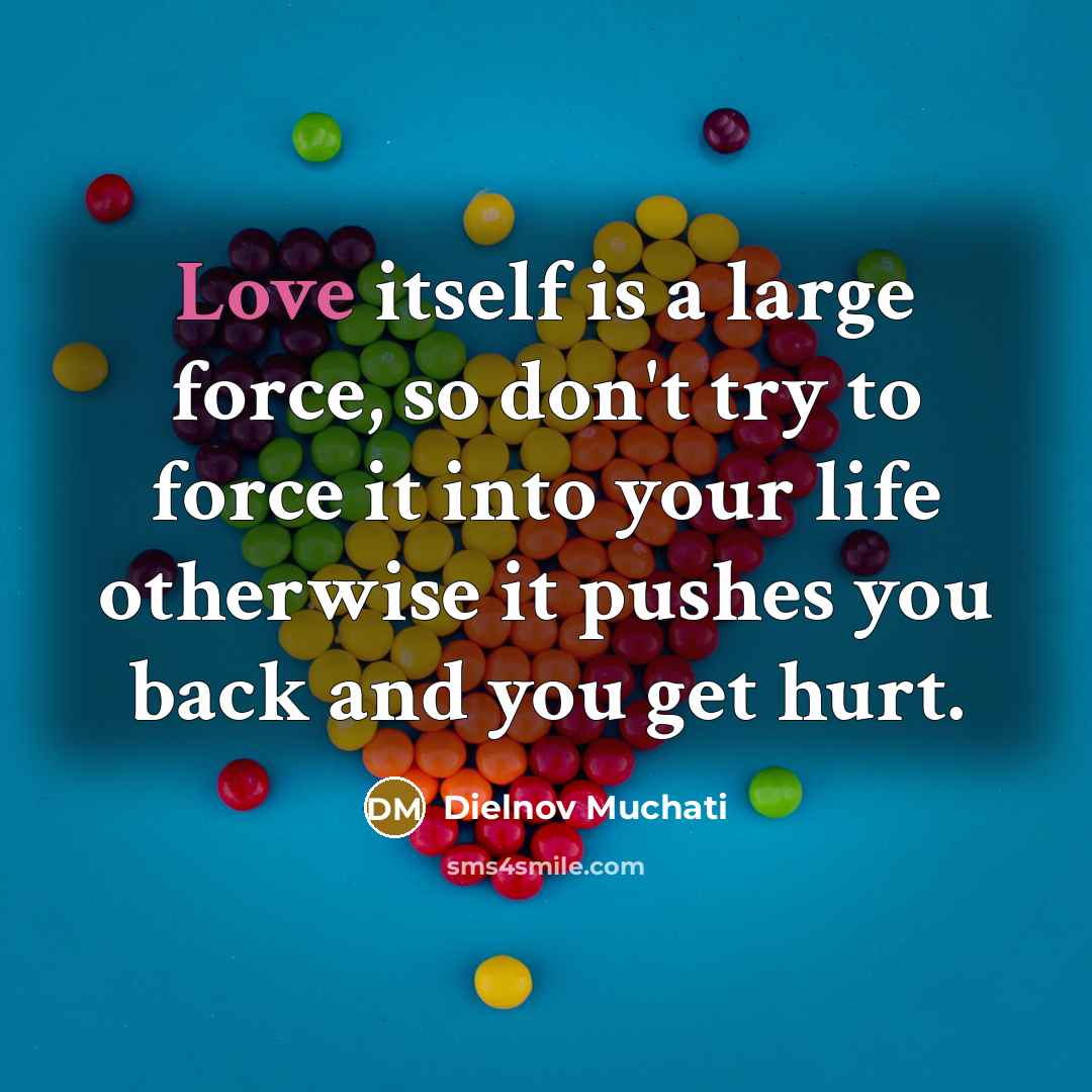 “Love itself is a large force, so don't try to…” quote by Dielnov Muchati