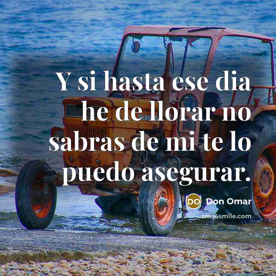 “Y si hasta ese dia he de llorar no sabras de mi te lo puedo asegurar.” quote by Don Omar