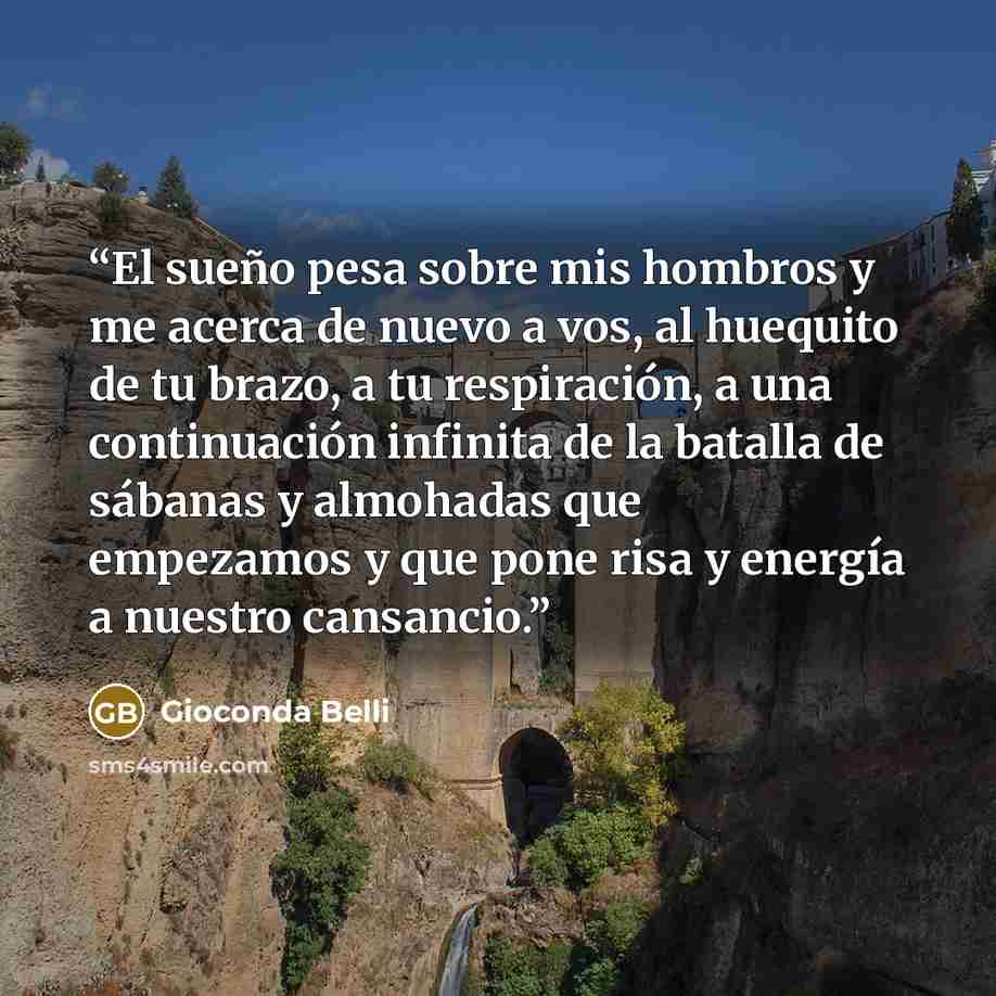 “El sueño pesa sobre mis hombros y me acerca de nuevo a vos, al huequito de tu brazo, a tu respiración, a una continuación infinita de la batalla de sábanas y almohadas que empezamos y que pone risa y energía a nuestro cansancio.” quote by Gioconda Belli
