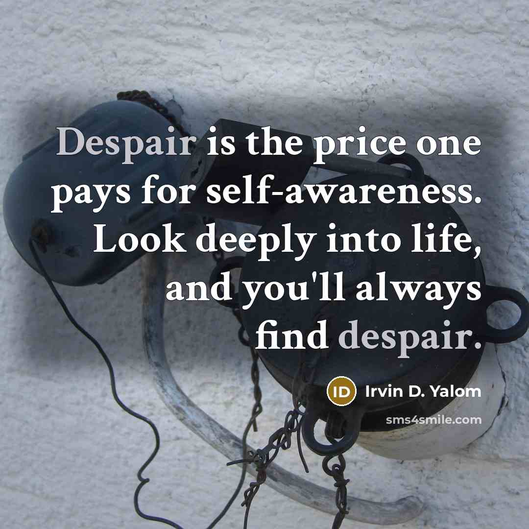 “Despair is the price one pays for self-awareness. Look deeply…” quote by Irvin D. Yalom