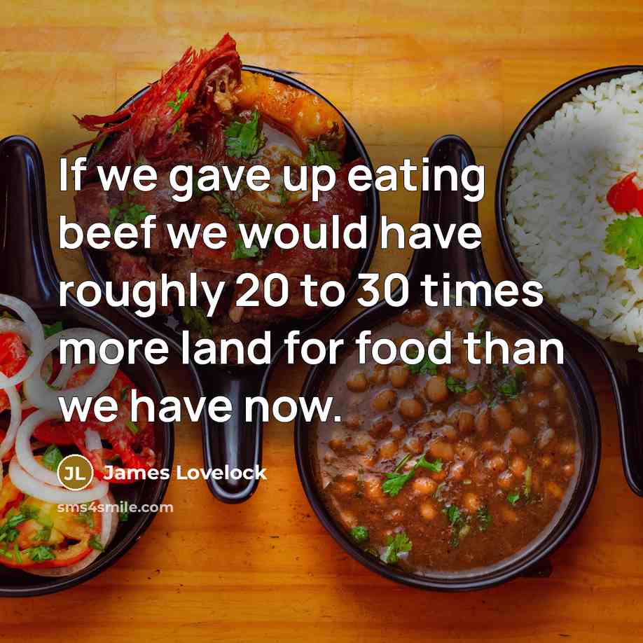 “If we gave up eating beef we would have roughly…” quote by James Lovelock