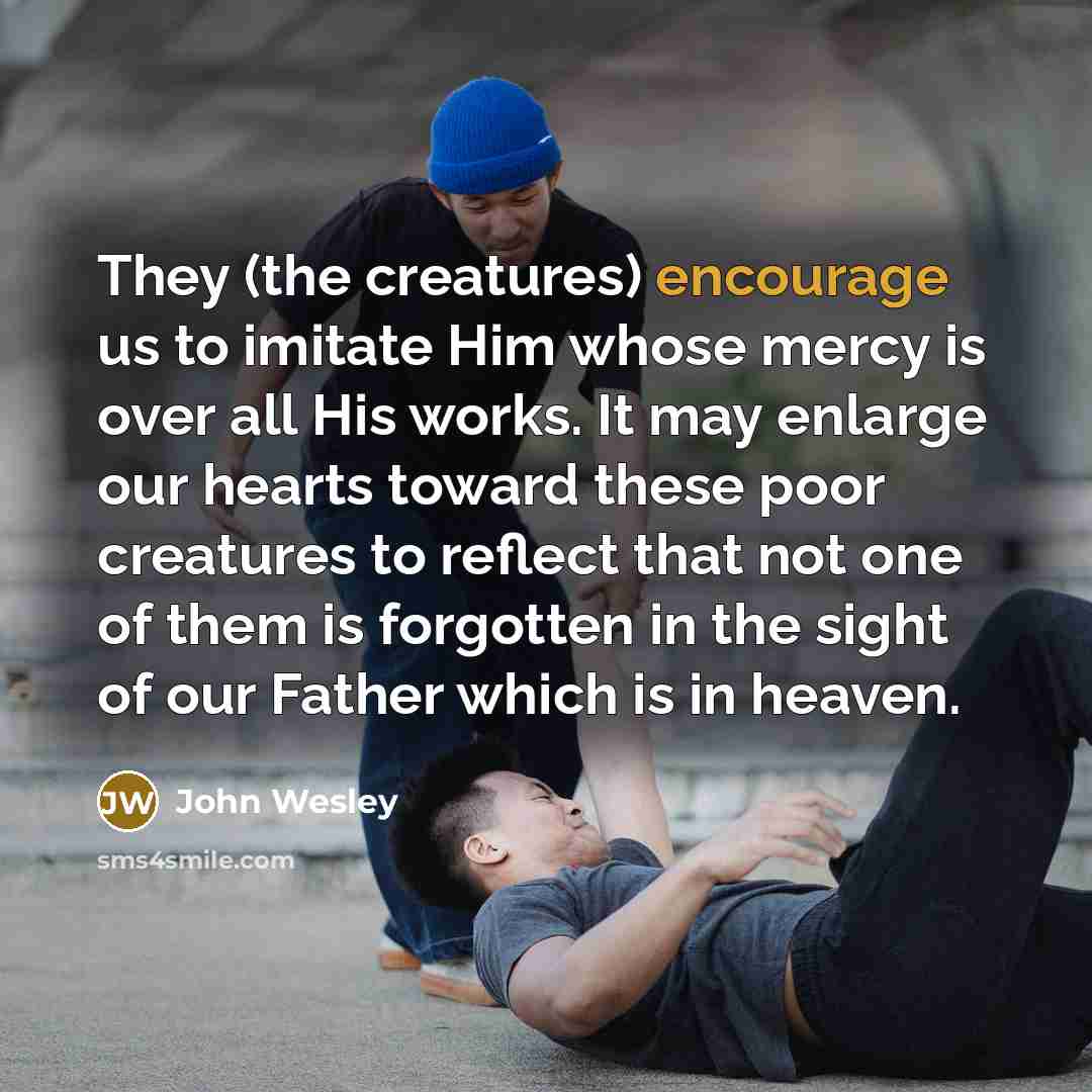 “They (the creatures) encourage us to imitate Him whose mercy…” quote by John Wesley