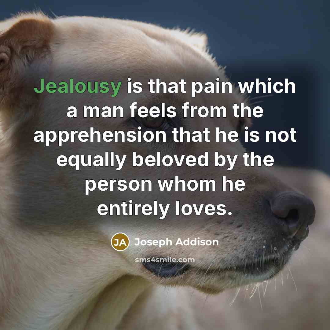 “Jealousy is that pain which a man feels from the…” quote by Joseph Addison