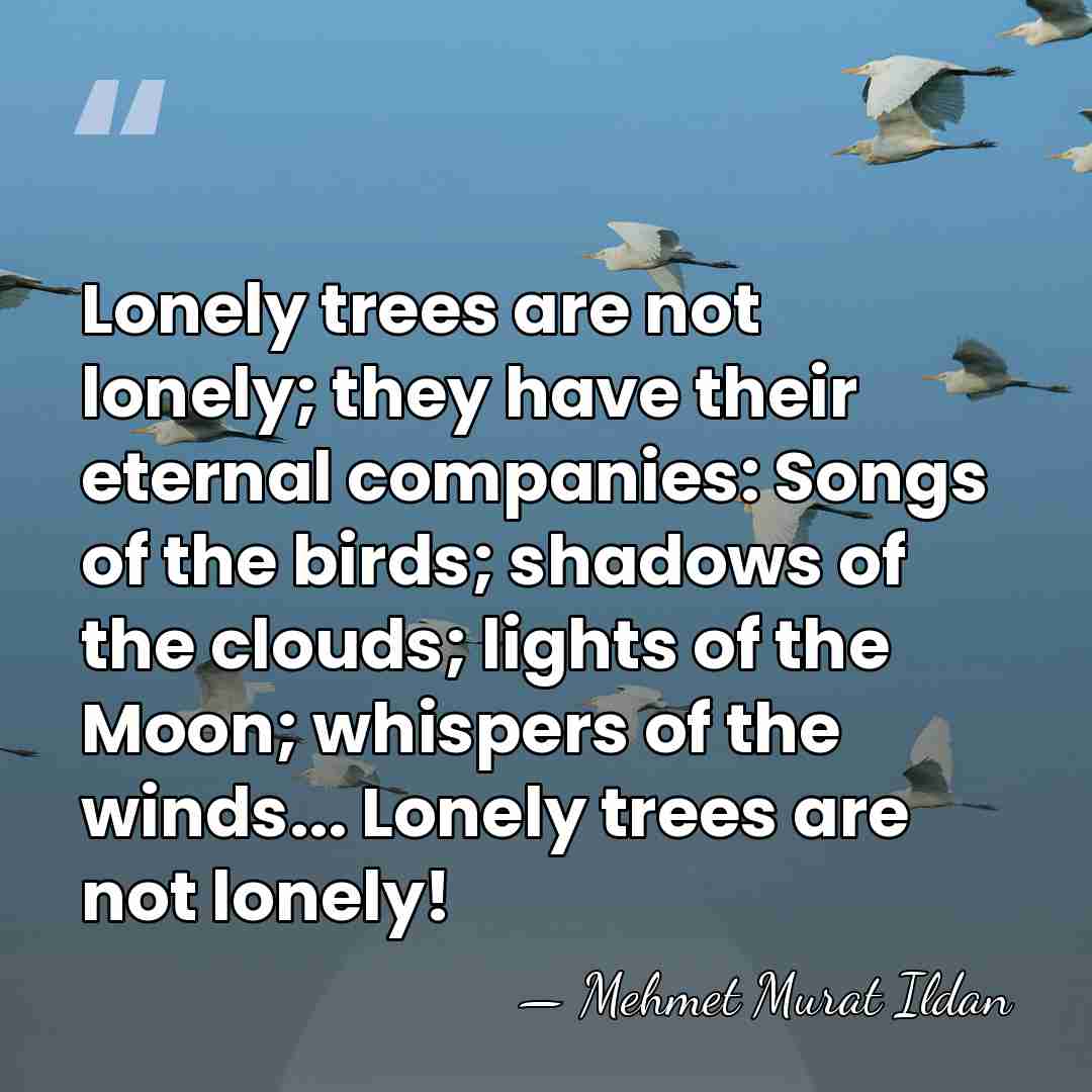 Lonely trees are not lonely; they have their eternal companies: Songs of&hellip; - Mehmet Murat Ildan