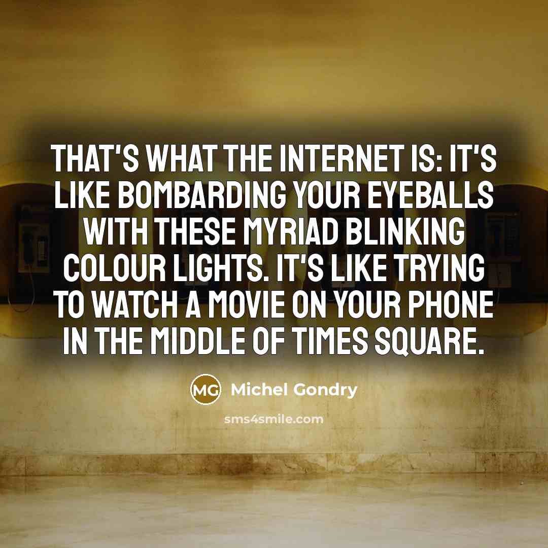 “That's what the internet is: it's like bombarding your eyeballs…” quote by Michel Gondry