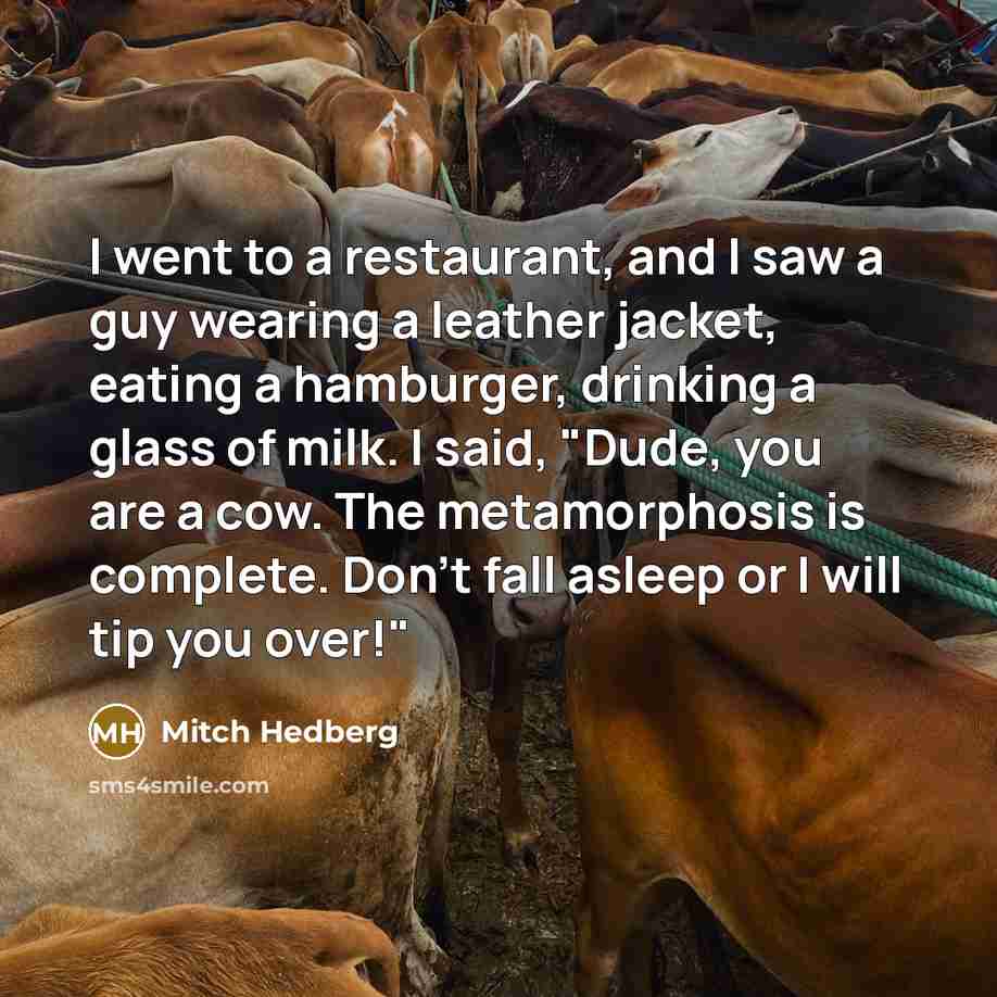 “I went to a restaurant, and I saw a guy…” quote by Mitch Hedberg