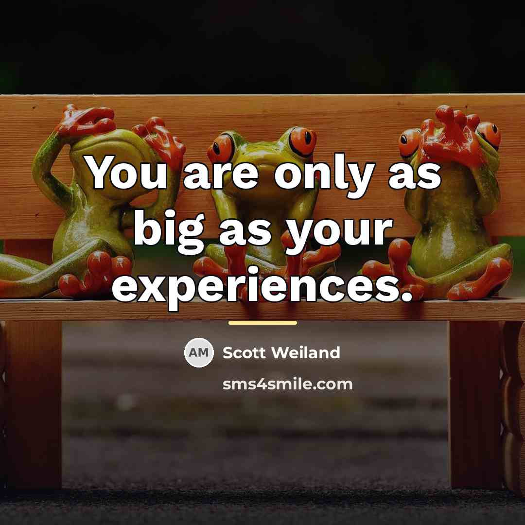 “You are only as big as your experiences.…” quote by Scott Weiland