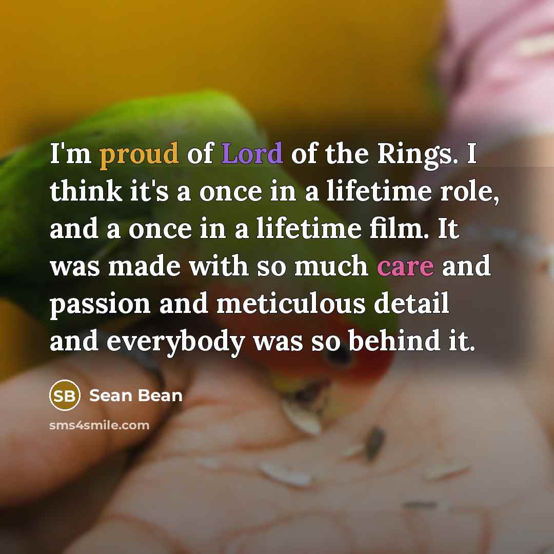 “I'm proud of Lord of the Rings. I think it's…” quote by Sean Bean