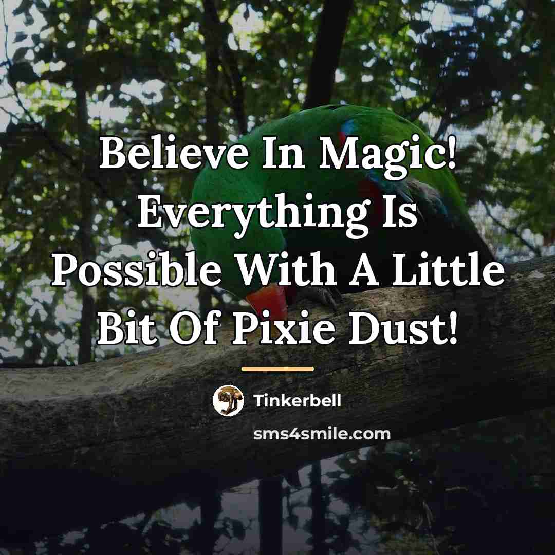 “Believe In Magic! Everything Is Possible With A Little Bit…” quote by Tinkerbell