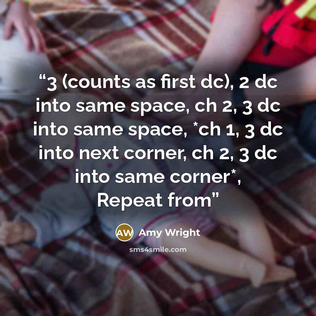 “3 (counts as first dc), 2 dc into same space, ch 2, 3 dc into same space, *ch 1, 3 dc into next corner, ch 2, 3 dc into same corner*, Repeat from” quote by Amy Wright