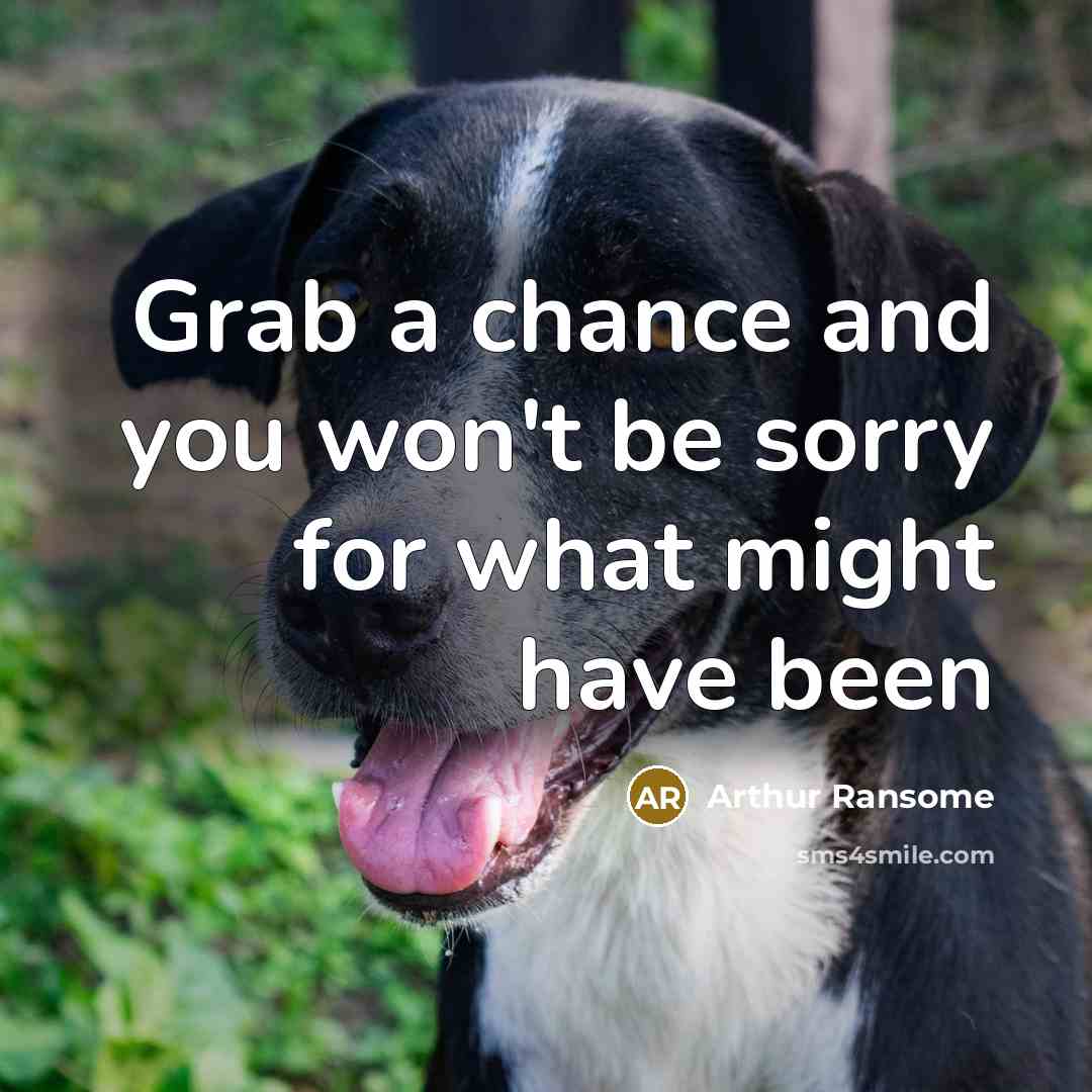 “Grab a chance and you won't be sorry for what…” quote by Arthur Ransome