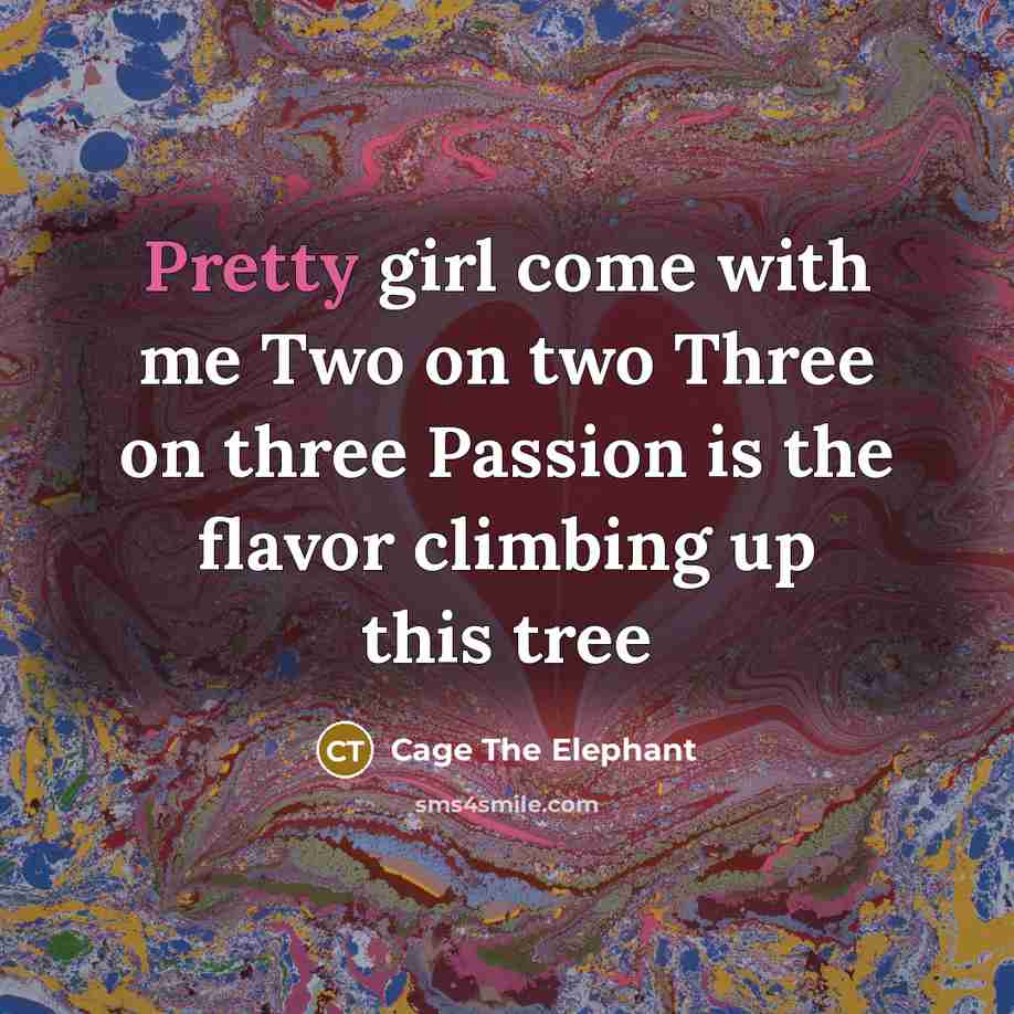 “Pretty girl come with me Two on two Three on…” quote by Cage The Elephant