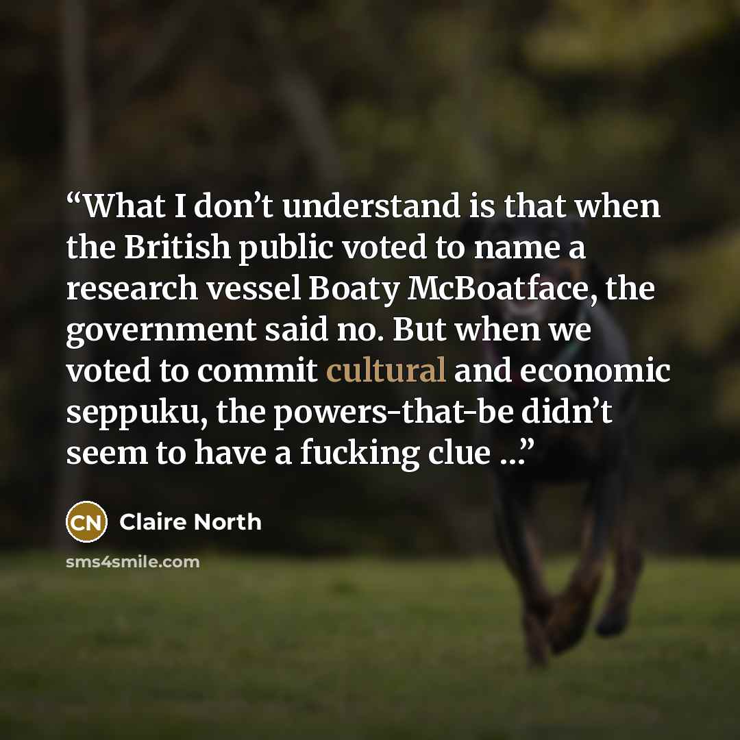 “What I don’t understand is that when the British public voted to name a research vessel Boaty McBoatface, the government said no. But when we voted to commit cultural and economic seppuku, the powers-that-be didn’t seem to have a fucking clue …” quote by Claire North