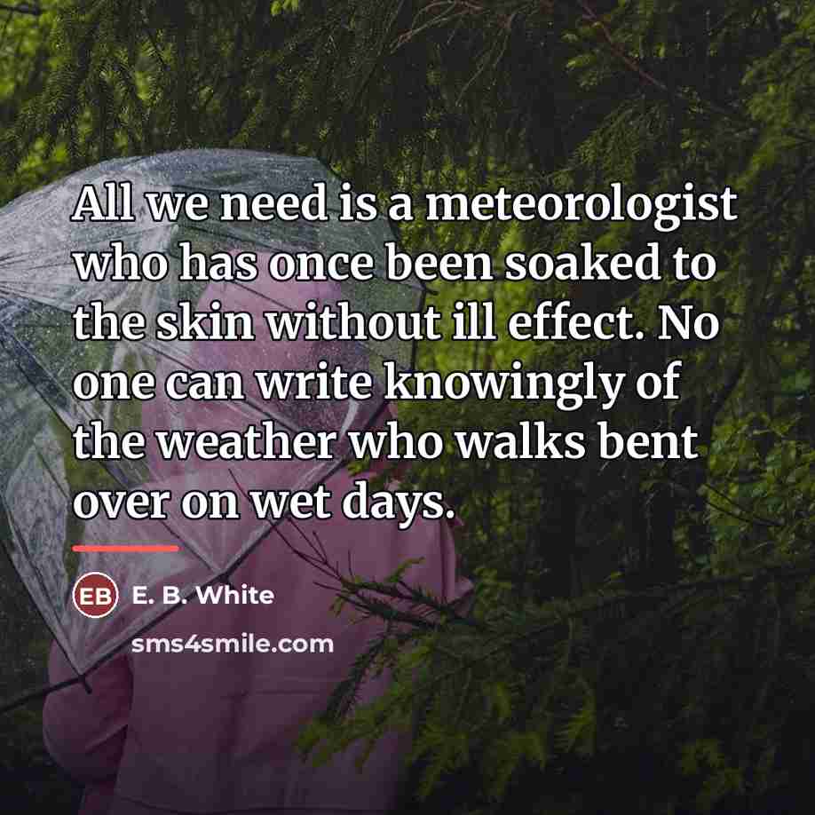 “All we need is a meteorologist who has once been…” quote by E. B. White