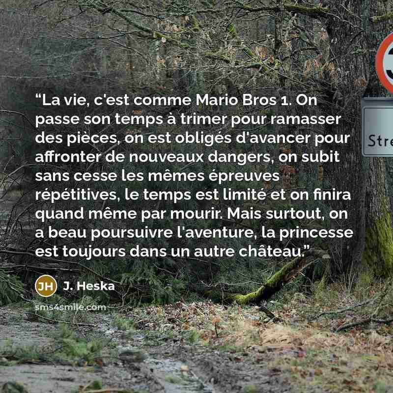“La vie, c'est comme Mario Bros 1. On passe son temps à trimer pour ramasser des pièces, on est obligés d'avancer pour affronter de nouveaux dangers, on subit sans cesse les mêmes épreuves répétitives, le temps est limité et on finira quand même par mourir. Mais surtout, on a beau poursuivre…” quote by J. Heska