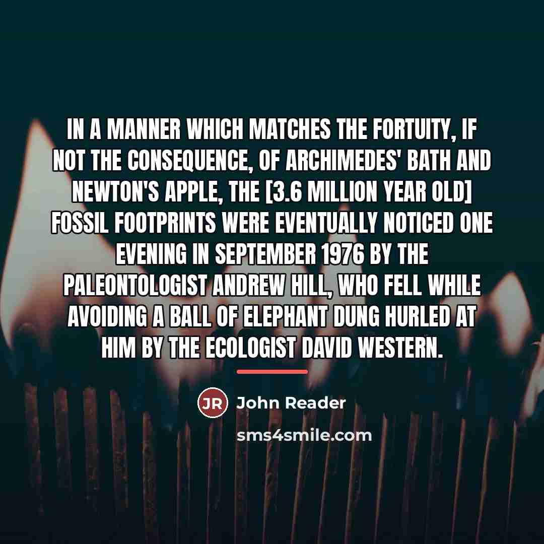 “In a manner which matches the fortuity, if not the…” quote by John Reader
